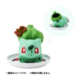 ハンガー イシツブテ ｜【公式】ポケモンセンターオンライン