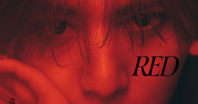 山田涼介 RED まとめ売り Ryosuke Yamada「RED」 Deep RED盤 山田涼介｜Yahoo!フリマ（旧