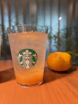 �w�`���b�N�X �\�[�_ �䂸�V�g���X�x �iC�joricon ME inc. 