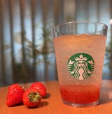 �w�`���b�N�X �\�[�_ �X�g���x���[�x �iC�joricon ME inc. 