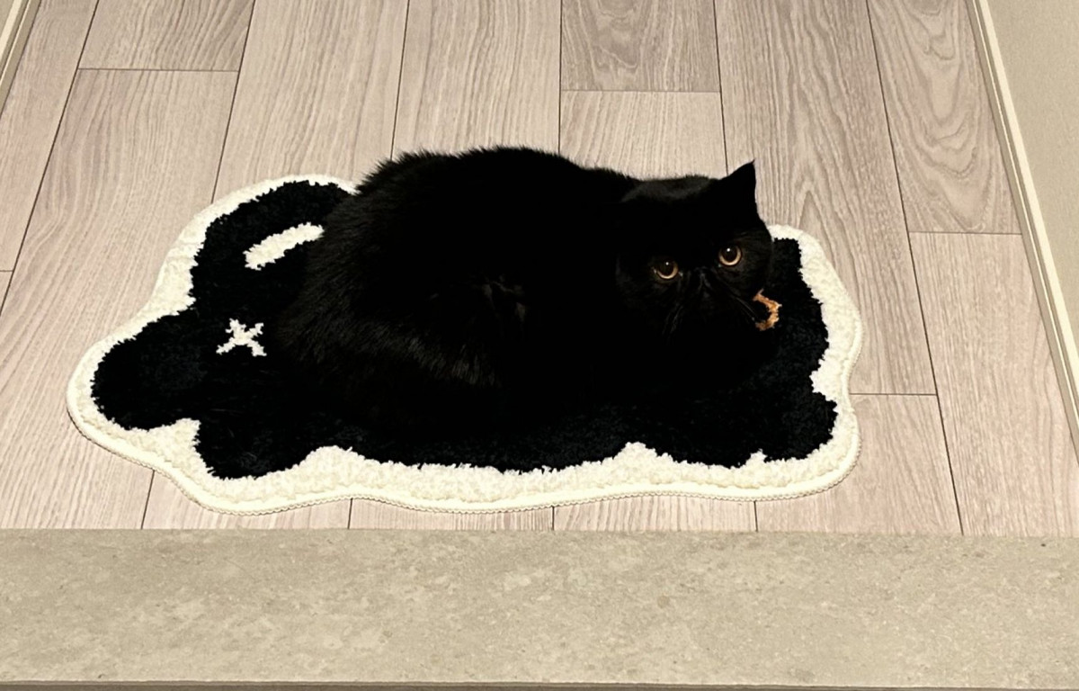 クロネコ コイヤーマット おでかけキャット 黒猫マット 玄関 ベランダ テラス クロネコ コイヤーマット おでかけキャット 黒猫マット 玄関 ベランダ