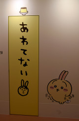 �w�L�f�C�����h�V�h�X�x (C)ORICON NewS inc. 