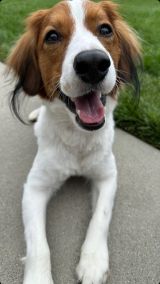 �u�T�}�[�J�b�g������?�v�f�R�s���̍ŐV�V���b�g���J �g����ω��h��SNS���ځu�S�̓I�ɖт�Z�������񂾂ˁv�u�T�b�p���v 