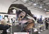 uЃGg[presents Japan Expo Paris in Osaka 2025vł̓W (C)ORICON NewS inc. 
