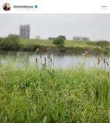 �C���g�A���R�u����ʐ^�v�i�ʐ^�̓C���X�^�O���� ��imotodesse ���j 