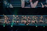 w΂t@Ng[ 10th Anniversary Concert at BUDOKAN `OUR DAYS`x̖͗l 