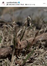 ߗRquƑƌQn̐YRɃnCLOɍs܂v(ʐ^̓CX^O @yumikoshaku ) 