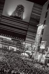 King Gnu�������E�V�h�̕��꒬�Ńt���[���C�u���J�� Photo:Kosuke Ito 