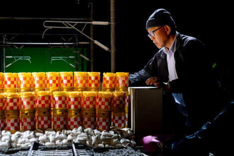 ���B��Netflix�f��w�V�����唚�j�x�Ɛ�z�M�� 