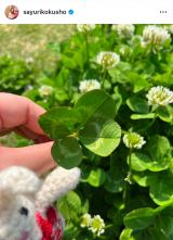 ���������u�F���������l�t�̃N���[�o�[�v (�ʐ^�̓C���X�^�O���� @sayurikokusho ���) 