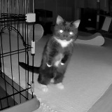 �i�摜�񋟁F���͂�����@kohaze102�j 