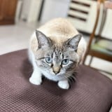 �Ԃ����Ɓg�▭�ȃX�y�[�X�h�̔L�A163���l�������ꂽ�u���肱������v 