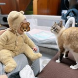 �u���m�Ƃ̑����v�i�摜�񋟁F�V�g���߂���@0818kome�j 