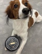 ��J�ĕ����f�R�s����2�΂��j���i�ʐ^�͑�J�ĕ��̃C���X�^�O�����F@shoheiohtani���j 