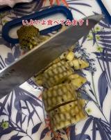 CɂȂ钆ǵcʐ^@bloomingscape 