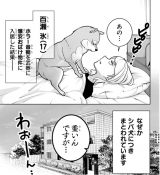 \CpNg܂܂wVox1p81(C)X/Wp 