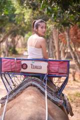 �g�Ō�̐�����i�h���c���~�J2nd�ʐ^�W �B�e:�����a�F 