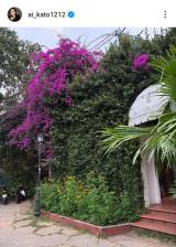 ���������uLast post from my Vietnam trip photo dump�v�i�ʐ^�̓C���X�^�O���� ��ai_kato1212 ���j 