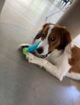 �f�R�s��������������g�͂ނ͂ށh �J�������`��������ŐV�V���b�g���J�u���x�͂Ȃ�̂�������?�Ώ΁v�u�f�R�s�������L�^�v 