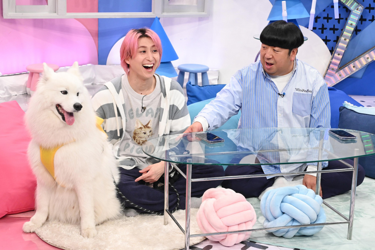 画像・写真 | Snow Man佐久間大介、サモエドの虜＆実態に驚き