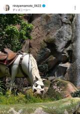 R{؃Ai(ʐ^̓CX^O @rinayamamoto_0622) 