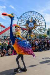 �x�^�[�E�g�D�M���U�[:�s�N�T�[�p���E�Z���u���[�V����!=�u�J���t�H���j�A �f�B�Y�j�[�����h�E���]�[�g 70���N�Z���u���[�V�����v (C)Disney 