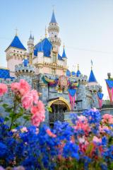 �u�J���t�H���j�A �f�B�Y�j�[�����h�E���]�[�g 70���N�Z���u���[�V�����v (C)Disney 