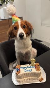 �f�R�s��(�ʐ^�͑�J�ĕ��̃C���X�^�O����:@shoheiohtani���) 