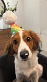 �f�R�s��(�ʐ^�͑�J�ĕ��̃C���X�^�O����:@shoheiohtani���) 