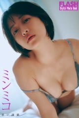 �~���~�R(C)������/�T��FLASH �ʐ^�����{���u 