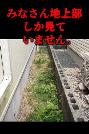 ͂ĂȂ̂́AꌩAʂɌ闠BƂ낪c摜@oniwasoji 