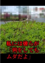 �A�؂̊Ԃ������̂��������ʂ̃��u�K���V�I�I�摜��@oniwasoji 