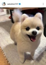 �����x���u�ŋ߂̂͂ȁv�i�ʐ^�̓C���X�^�O���� @satoshiori727 ���j 