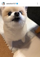 �����x���u�ŋ߂̂͂ȁv�i�ʐ^�̓C���X�^�O���� @satoshiori727 ���j 