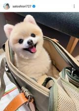 �����x���u�ŋ߂̂͂ȁv(�ʐ^�̓C���X�^�O���� @satoshiori727 ���) 