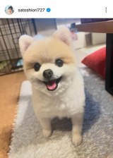 �����x���u�ŋ߂̂͂ȁv(�ʐ^�̓C���X�^�O���� @satoshiori727 ���) 