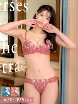 �㐼��=��l���ۃs���N���j�E�P�� 