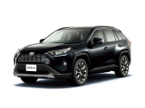 RAV4 GgZ packageh(AeB`[hubN}CJ)2019N`f 
