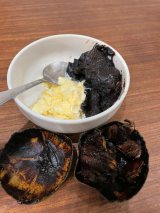 ojACXƍ킹ubNT|e̒ԃAWBu^Io̔v!摜@atsuo-shokubutsu 