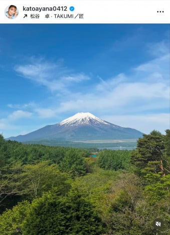 �v�E�������Ɓu��l�̉����v���y���񂾉������؁@�i�ʐ^�̓C���X�^�O���� @katoayana0412 ���j 