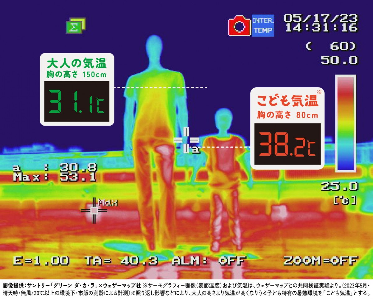 温度と熱移動　アチャチャをつかまえろ！他　かがくのとも　学研　かんきょうかがく 温度と熱移動 アチャチャをつかまえろ！他 かがくのとも 学研 かん