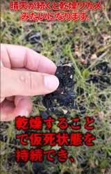 �܂�Ŋ������J��!�Ƃ��낪�A�J������̓��ɂ́c�摜��@oniwasoji 