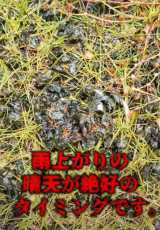 �J�オ��̓��B�������܂�Ńh�b���h��&�k���k����ԂɂȂ����u�C�V�N���Q�v�B�摜��@oniwasoji 