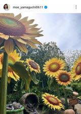 �R�������u�e�q�Ńf�B�Y�j�[�����h�ƃf�B�Y�j�[�V�[�ցv(�ʐ^�̓C���X�^�O���� @moe_yamaguchi0611 ���) 