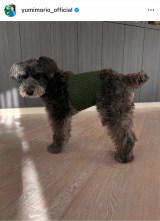 �X���R������I�����A�����̂��̎�҂݃A�C�e�� (�ʐ^�̓C���X�^�O���� @yumimorio_official ���) 