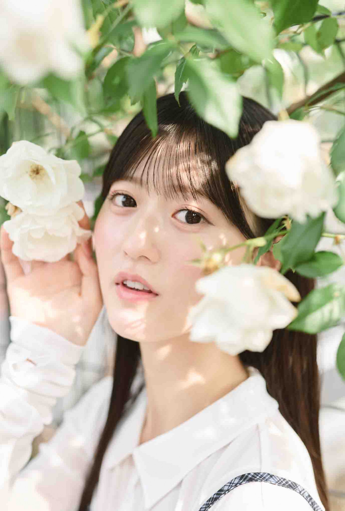 30wBUBKA7xɓoꂷAKB48E؈ 