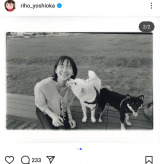 �g������(�ʐ^�̓C���X�^�O�������) 