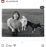 �g������(�ʐ^�̓C���X�^�O�������) 