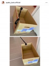 �������q�u�傫�ȉו����͂����Ƃ��̒i�{�[�����݂��� ���̂܂܎̂Ă�ܑ͖̂̂Ȃ��ȂƁc�v�i�ʐ^�̓C���X�^�O���� @ ���j 