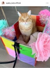 �������q�u���܂Ƀ}�������܂��v�i�ʐ^�̓C���X�^�O���� @ ���j 